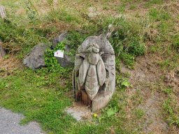 20250816_Andernach_P8160112