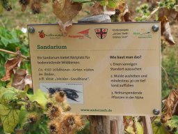 20250816_Andernach_P8160113