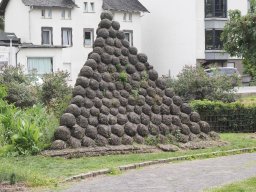 20250816_Andernach_P8160121