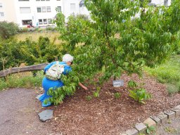 20250816_Andernach_P8160123