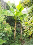 20250816_Andernach_P8160128