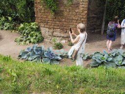 20250816_Andernach_P8160129