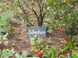 20250816_Andernach_P8160140