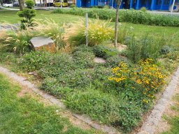 20250816_Andernach_P8160144