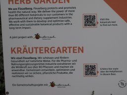 20250816_Andernach_P8160148