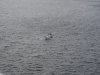 22020614_Kiel-Oslo-Kiel_033
