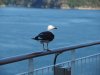 22020614_Kiel-Oslo-Kiel_086