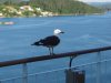 22020614_Kiel-Oslo-Kiel_087