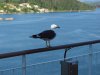 22020614_Kiel-Oslo-Kiel_088
