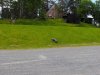 22020614_Kiel-Oslo-Kiel_179