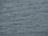 22020614_Kiel-Oslo-Kiel_304