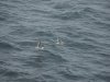 22020614_Kiel-Oslo-Kiel_310