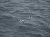 22020614_Kiel-Oslo-Kiel_312