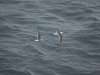 22020614_Kiel-Oslo-Kiel_313