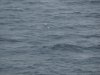 22020614_Kiel-Oslo-Kiel_314