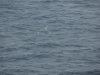 22020614_Kiel-Oslo-Kiel_316