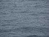 22020614_Kiel-Oslo-Kiel_317