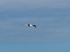 22020614_Kiel-Oslo-Kiel_337
