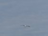 22020614_Kiel-Oslo-Kiel_338