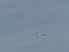 22020614_Kiel-Oslo-Kiel_339