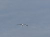 22020614_Kiel-Oslo-Kiel_340