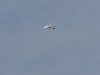 22020614_Kiel-Oslo-Kiel_341