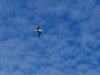 22020614_Kiel-Oslo-Kiel_344