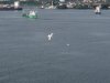 22020614_Kiel-Oslo-Kiel_345
