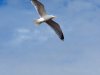 22020614_Kiel-Oslo-Kiel_346
