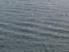 22020614_Kiel-Oslo-Kiel_349