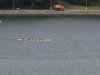 22020614_Kiel-Oslo-Kiel_385