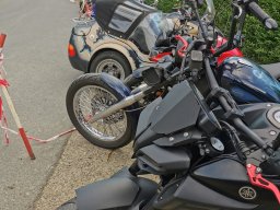 Sommerfest_2024-IMG_20240628_201829