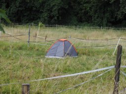 Sommerfest_2024-P6280002