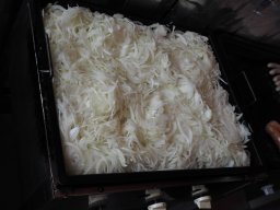 Sommerfest_2024-P6290127