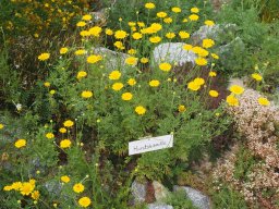 20250713_Sommerfest_P7130485