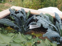 20250713_Sommerfest_P7130490