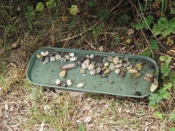 20250713_Sommerfest_P7130492