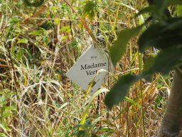 20250713_Sommerfest_P7130495