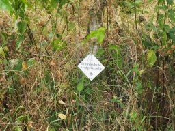 20250713_Sommerfest_P7130497