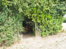 20250713_Sommerfest_P7130510