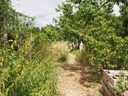 20250713_Sommerfest_P7130513