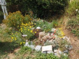 20250713_Sommerfest_P7130515