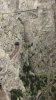 PA200563