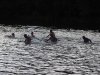 P7220563