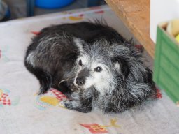 2025_Sepptour_P7270647