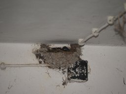 2025_Sepptour_P7270680