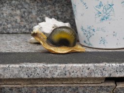 2025_Sepptour_P7280733