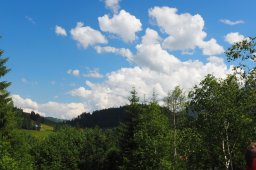 P7101168-790