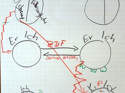 BU_Kommunikation_2024_P3210748